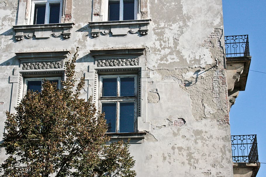 poland, kraków, window, old, building, tree, krakow, balcony HD wallpaper