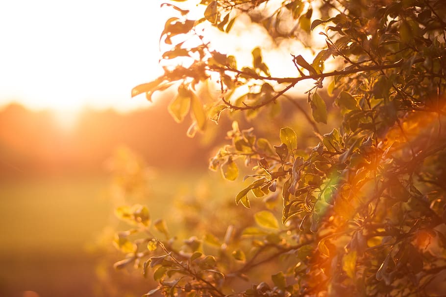 sun, sunset, sky, mood, landscape, nature, dusk, atmospheric HD wallpaper