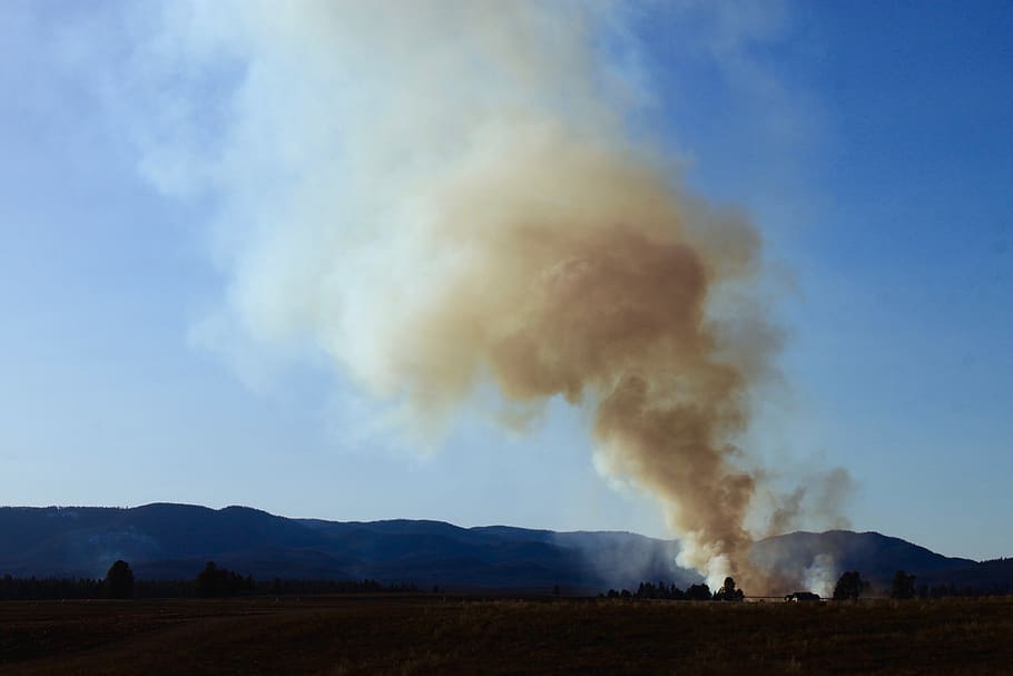 smoke, sky, sunset, forest fire, smoke - physical structure HD wallpaper