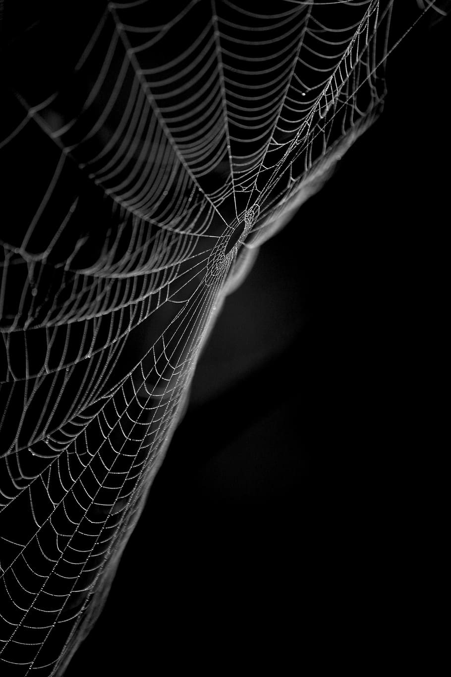 Dark web - backiee