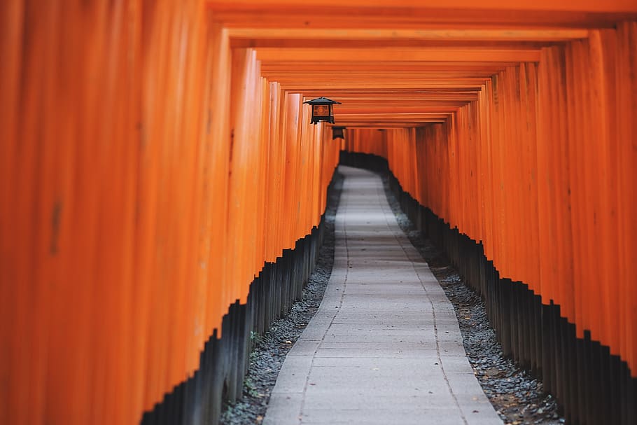 Tori gates, the way forward, direction, architecture, orange color HD wallpaper