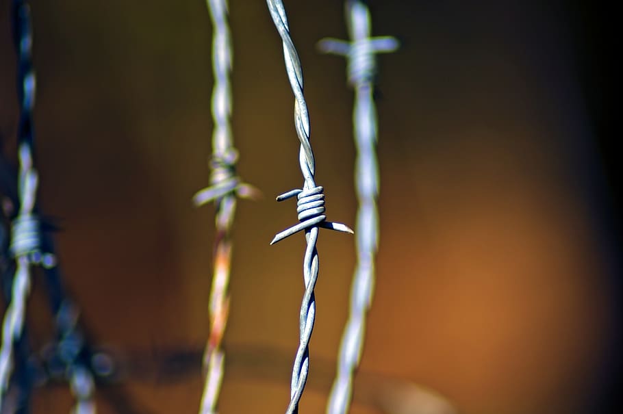 barbed wire, security, metal, rust, barrier, obstacle, fencing HD wallpaper