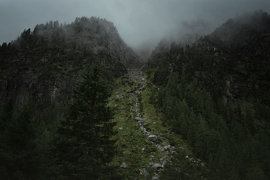 View of Landslide, daylight, downhill, fog, foggy, forest, grass, HD wallpaper