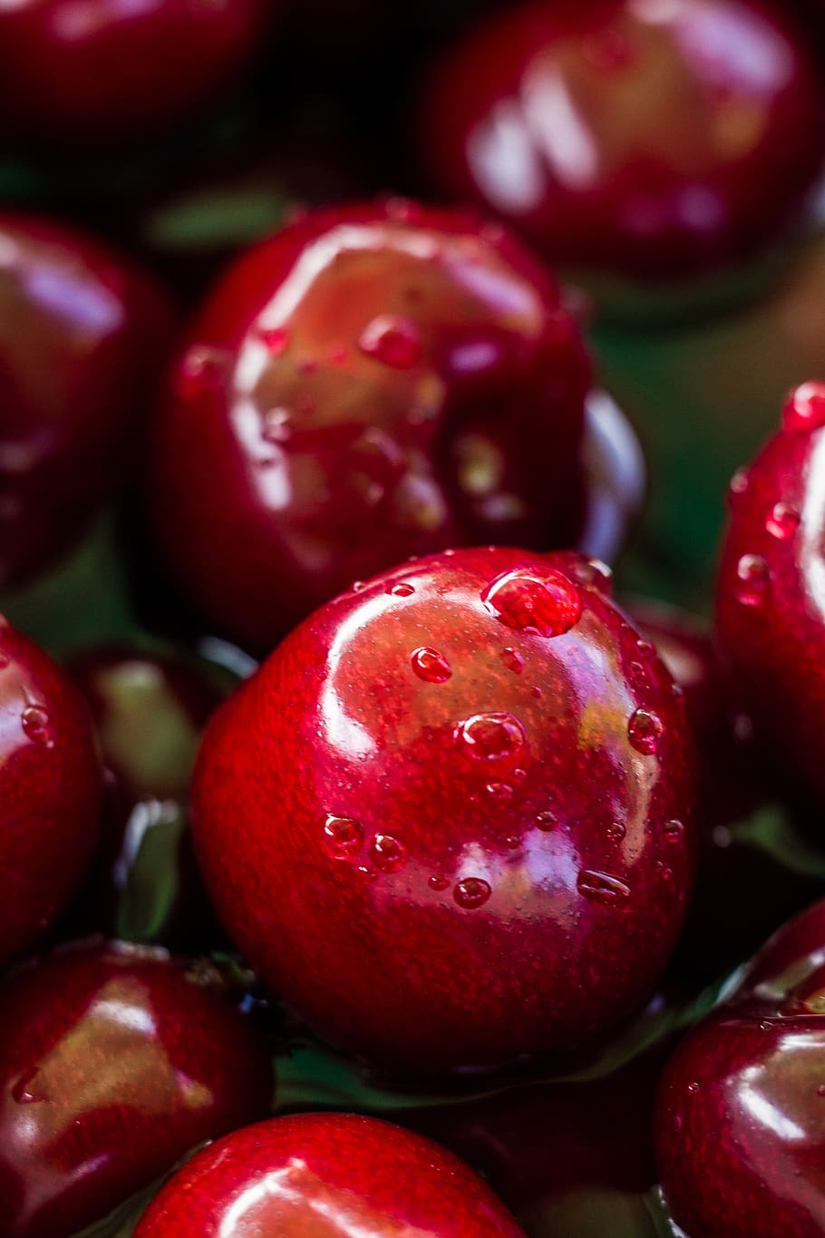 fruit, food, nature, cherry, food and drink, healthy eating HD wallpaper