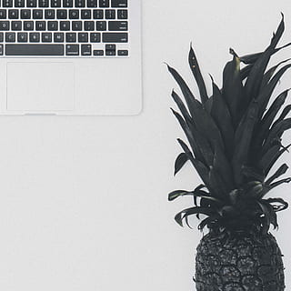 Pineapple fruit, hardware, computer, keyboard, computer hardware HD wallpaper