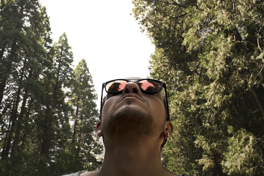 boy, forest, trees, sky, clouds, sunglasses, headshot, one person HD wallpaper