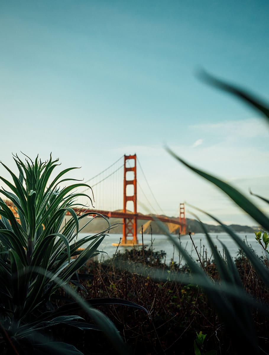 Golden Gate Bridge, sky, nature, plant, built structure, architecture HD wallpaper