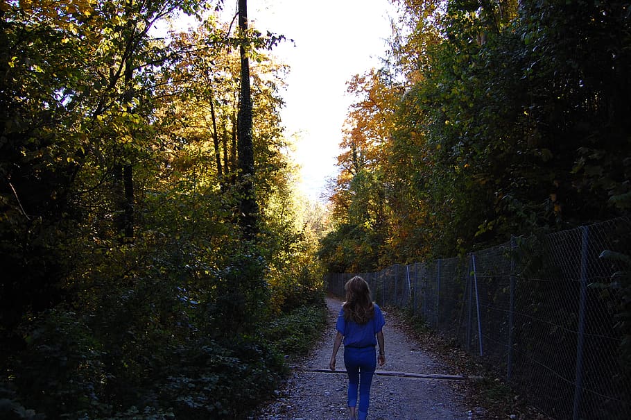 autumn, trees, forest, mountains, girl, wandering, plant, real people HD wallpaper