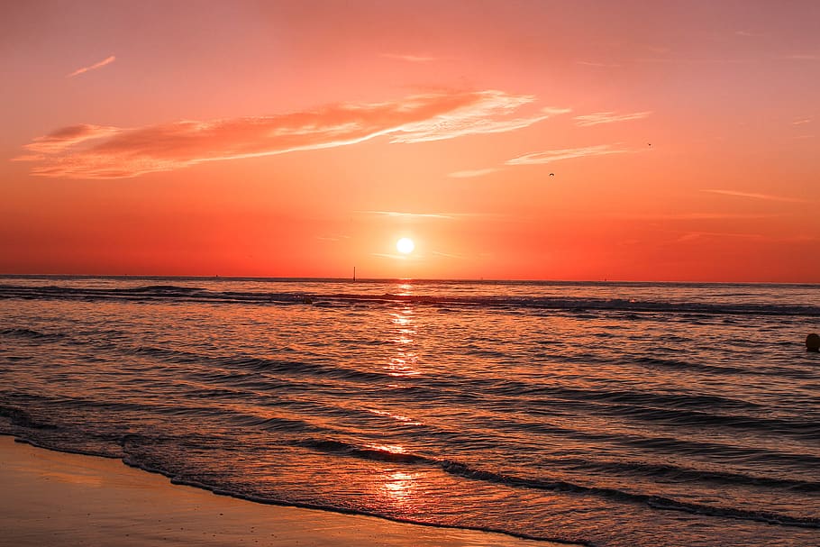seashore during sunset, water, sky, scenics - nature, beauty in nature HD wallpaper