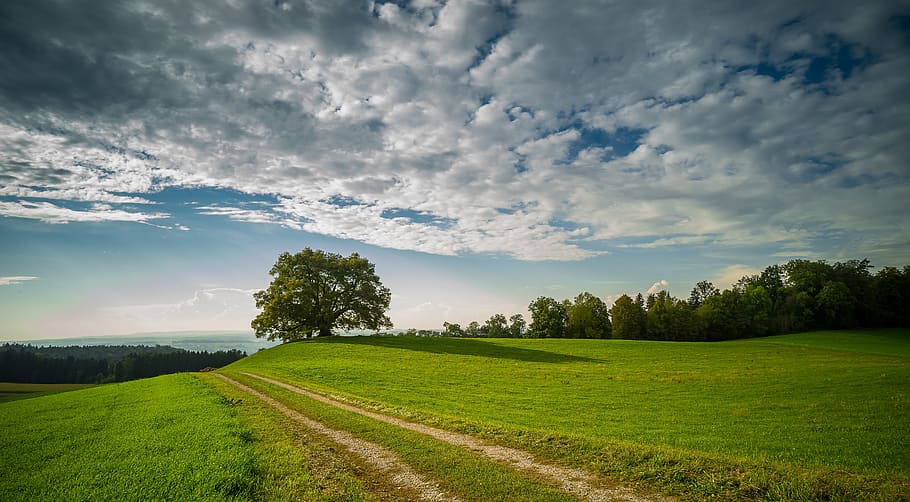 landscape, nature, tree, clouds, sky, hill, panorama, green HD wallpaper