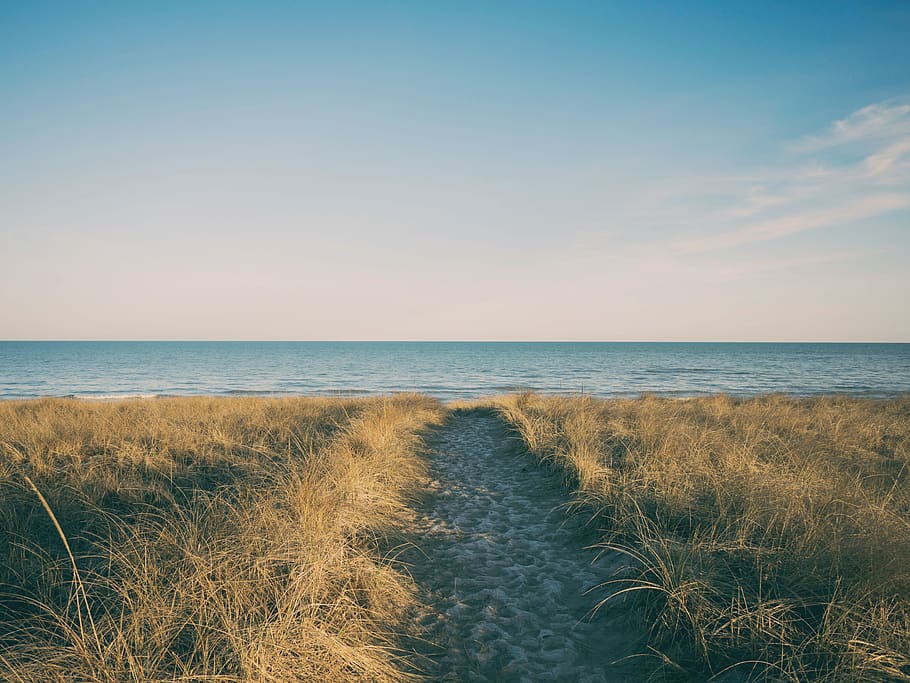 green grass during daytime, sea, horizon over water, beauty in nature HD wallpaper