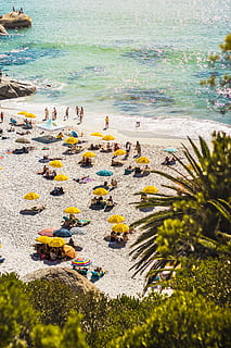 People Sunbathing and Swimming on Seashore, beach, daytime, ocean HD wallpaper