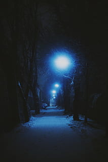trees, dark, street, snow, blue, light, monolight, winter, snowfall HD wallpaper