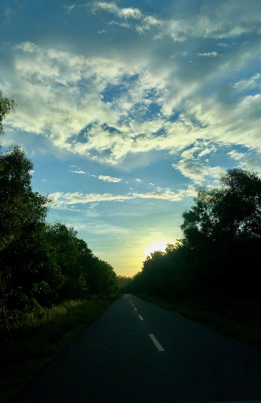 indonesia, sota, tree, cloud - sky, direction, plant, road HD wallpaper