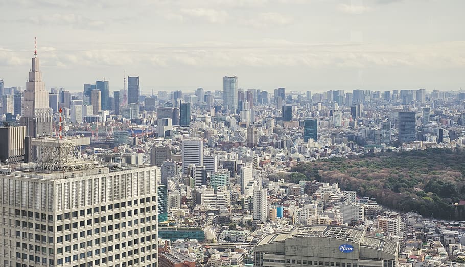 japan, shinjuku, asian, tokyo, city, sky, view, landscape, tower, HD wallpaper