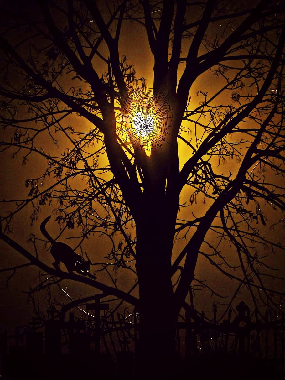 light, dark, tree, art, paint, painting, cat, silhouette, plant HD wallpaper