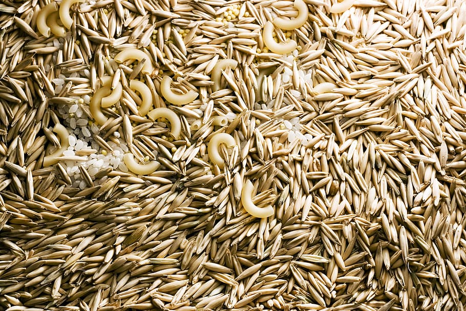 background, brown, cereal, flour, food, grain, ingredient, meal HD wallpaper
