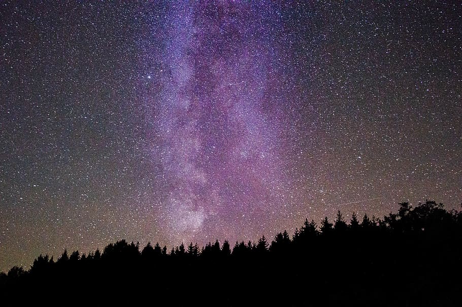 milkyway under trees, nightsky, star, space, scenics - nature HD wallpaper