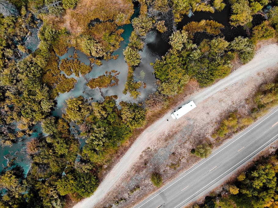 green leafed trees, road, nature, america, usa, outdoors, highway HD wallpaper