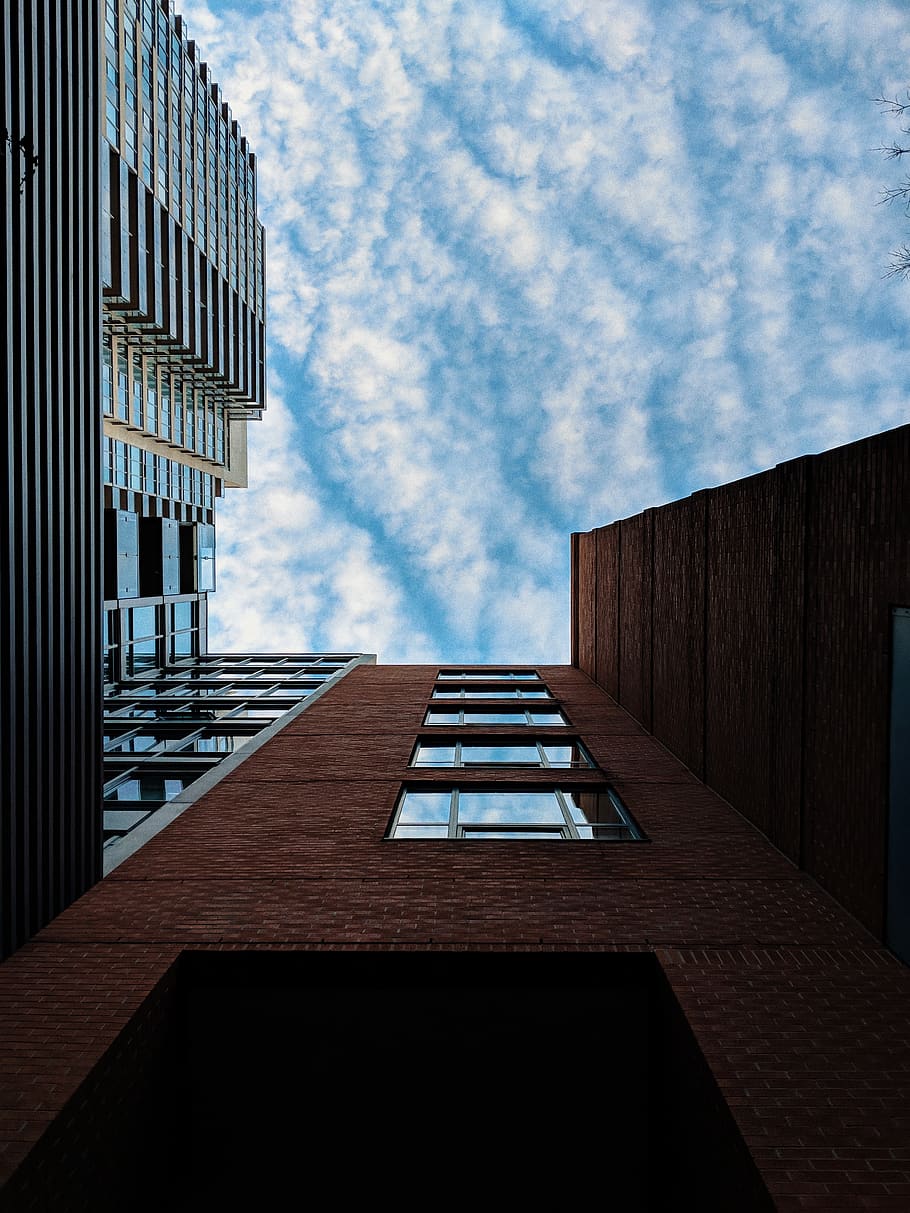 toronto, canada, building exterior, sky, architecture, built structure HD wallpaper