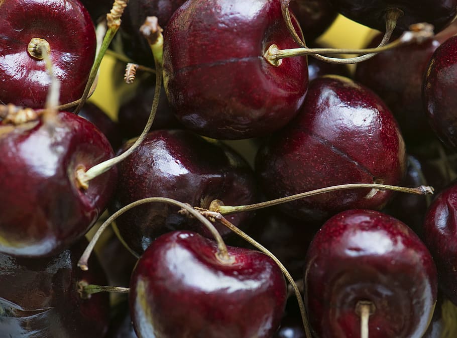 background, berry, cherry, cherry background, cherry fruit HD wallpaper