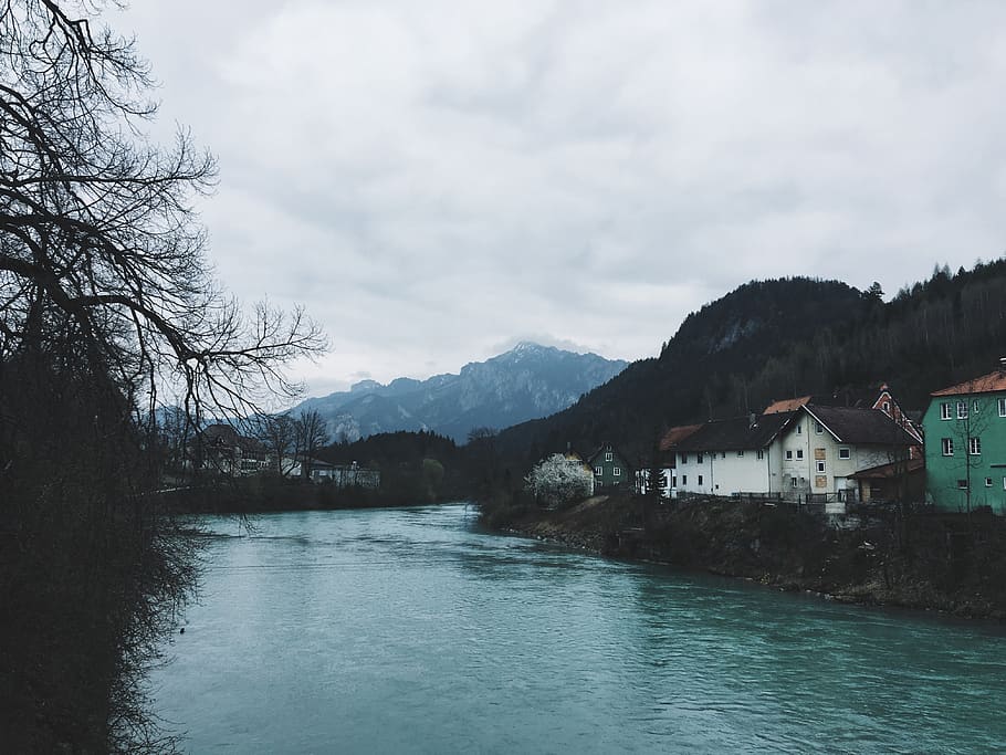 germany, füssen, water, trees, mountains, village, town, lake, HD wallpaper
