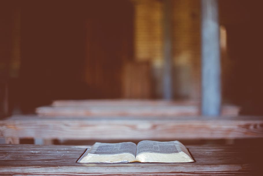 book, bible, reading, table, blur, wood - material, indoors HD wallpaper