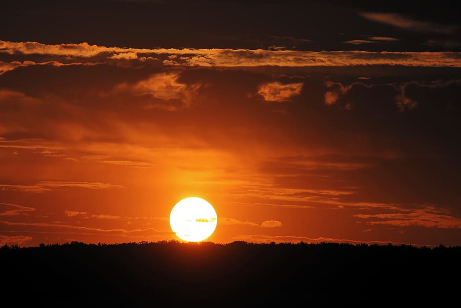 sunset, horizon, clouds, forest, orange, solar disk, nature HD wallpaper