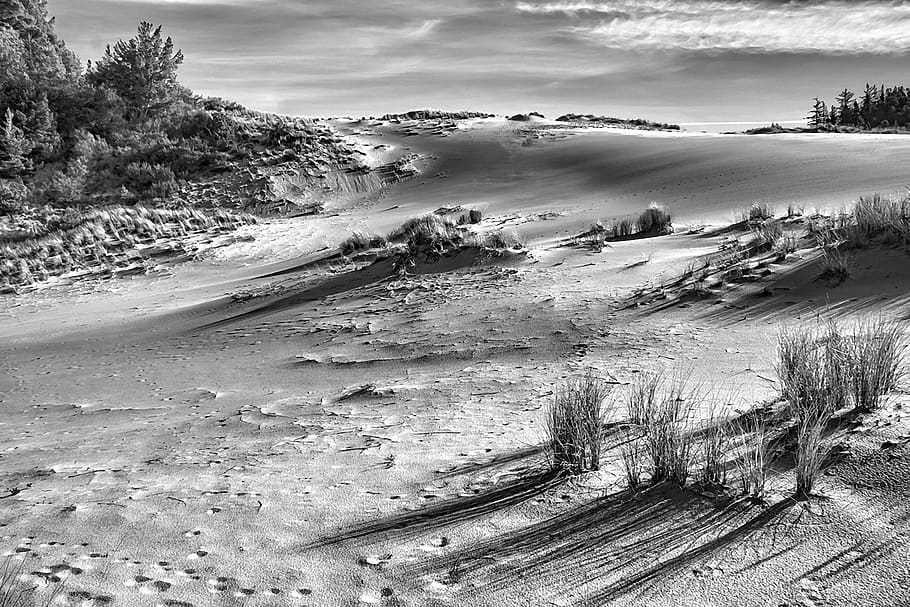 dunes, sand, sand dunes, nature, desert, travel, landscape, HD wallpaper