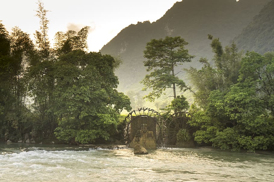Green-leafed Trees Along The River, beautiful, cascade, daylight HD wallpaper
