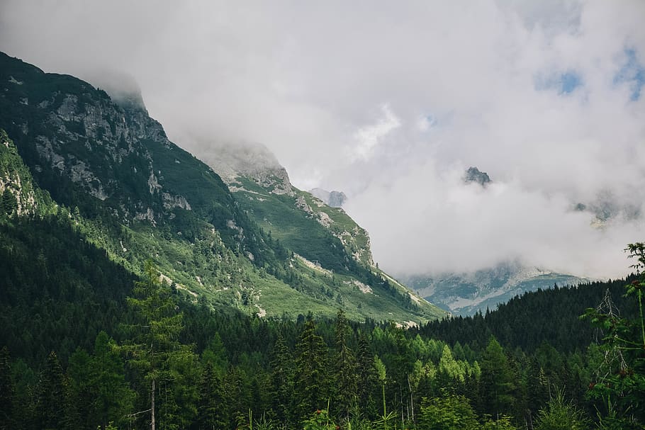 Grey Clouds Covering Mountain Peak, beautiful, Foggy landscape HD wallpaper