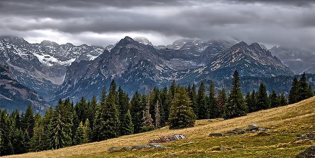 mountains, view, tops, way, the path, trail, landscape, tatry HD wallpaper