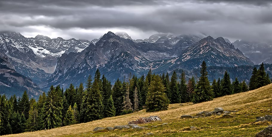 mountains, view, tops, way, the path, trail, landscape, tatry HD wallpaper