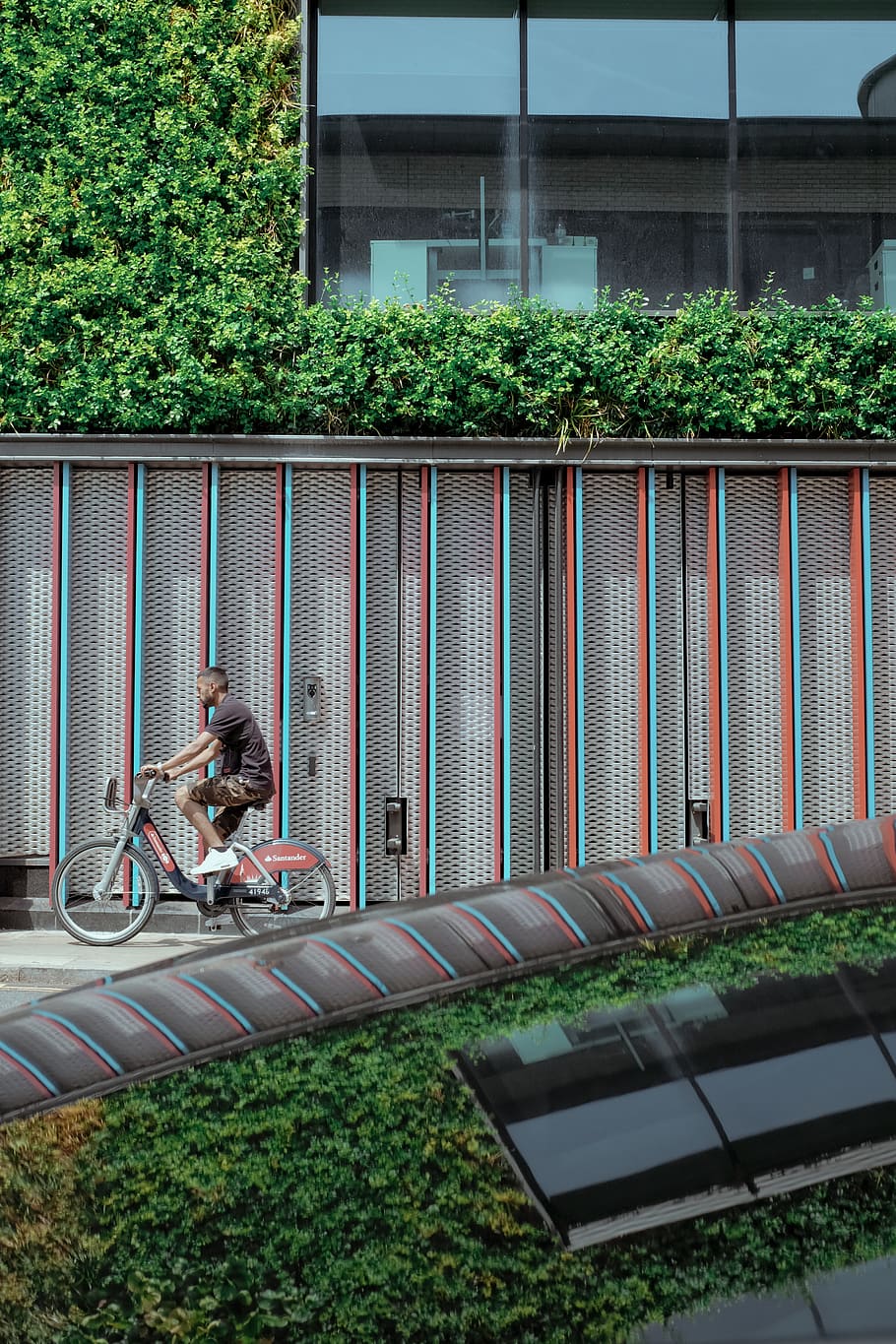 man riding bicycle, person, human, people, bike, vehicle, cyclist, HD wallpaper