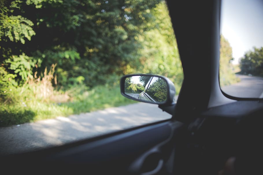 vehicle besides trees, car, automobile, transportation, mirror HD wallpaper