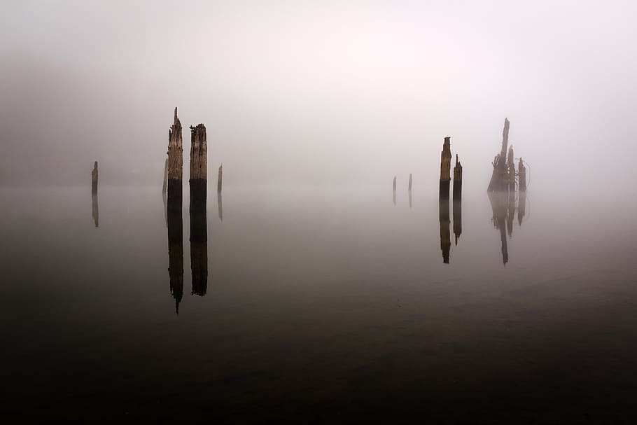 Fog on the Willamette, long exposure, reflection, mist, water HD wallpaper