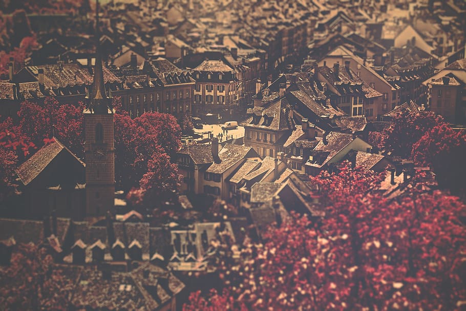 city, buildings, architecture, rooftops, trees, leaves, autumn HD wallpaper