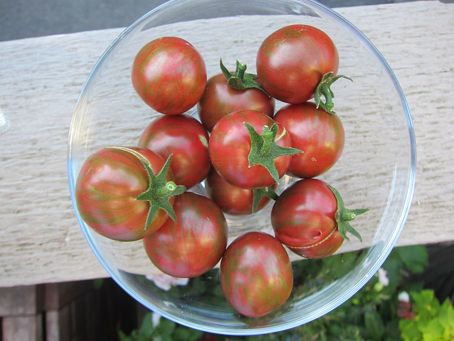 canada, vancouver, red, fresh, garden, tomatoes, summer, bowl HD wallpaper