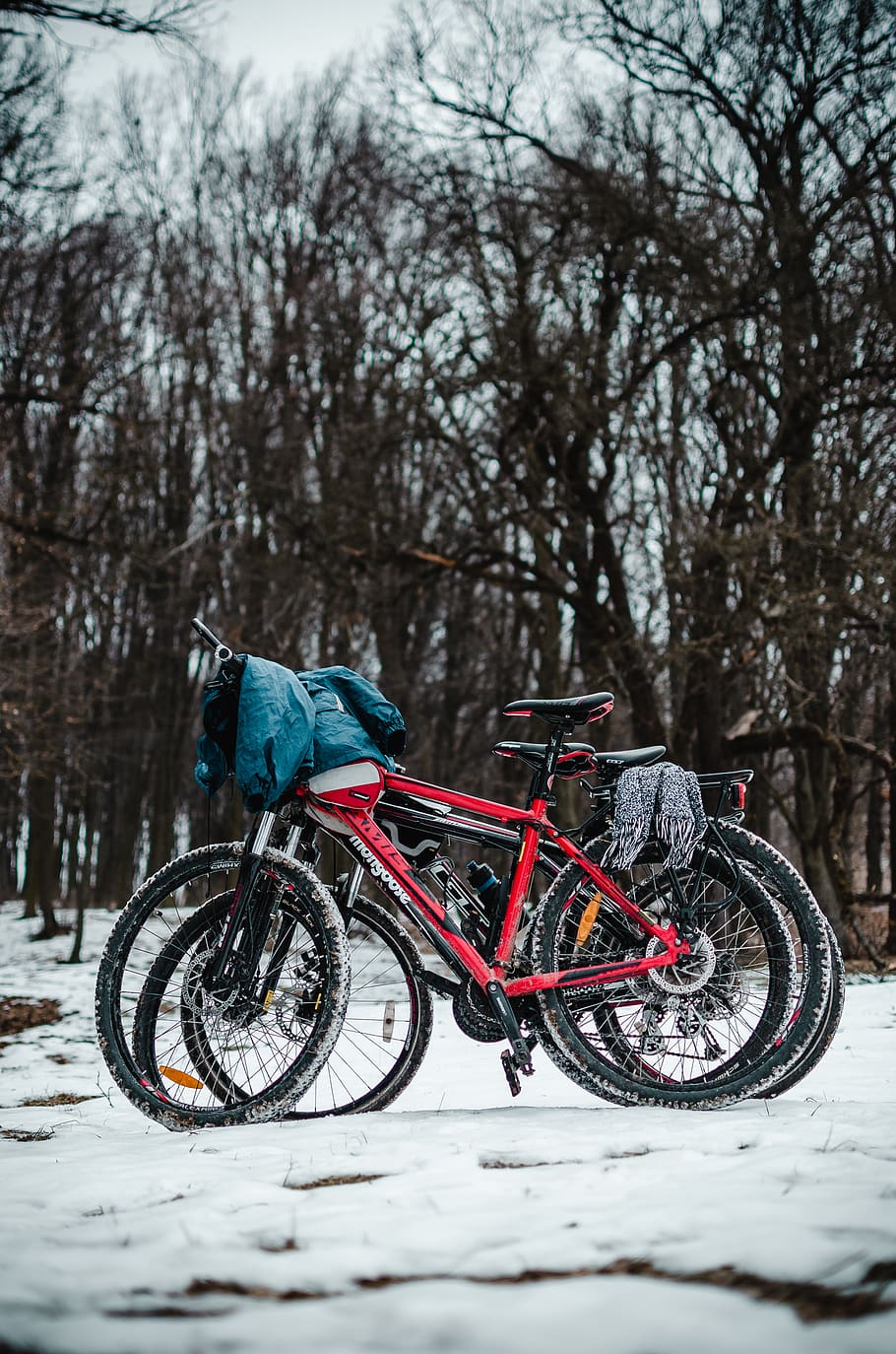 three mountain bikes on white lands, tree, transportation, land vehicle HD wallpaper