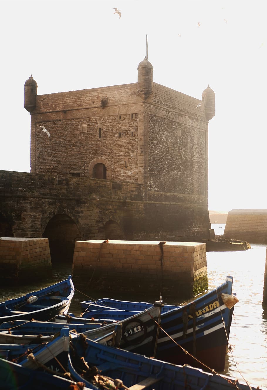 movement, fish, wave, morocco, french, old, ancient, building HD wallpaper
