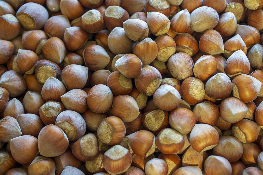 hazelnut, shell, food, food and drink, large group of objects HD wallpaper