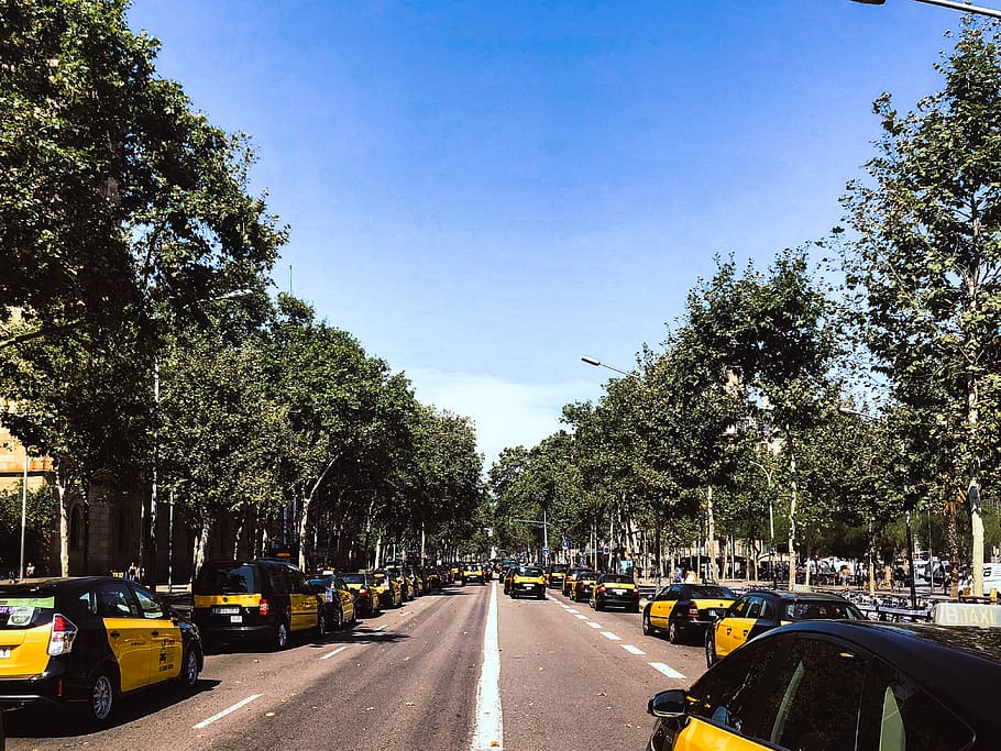 barcelona, spain, cab, strike, traffic, light, contrast, perspective HD wallpaper