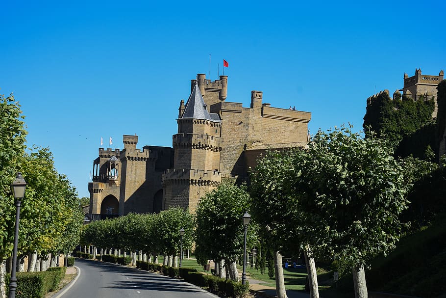 olite, navarra, españa, castillo, medieval, turístico, plant HD wallpaper