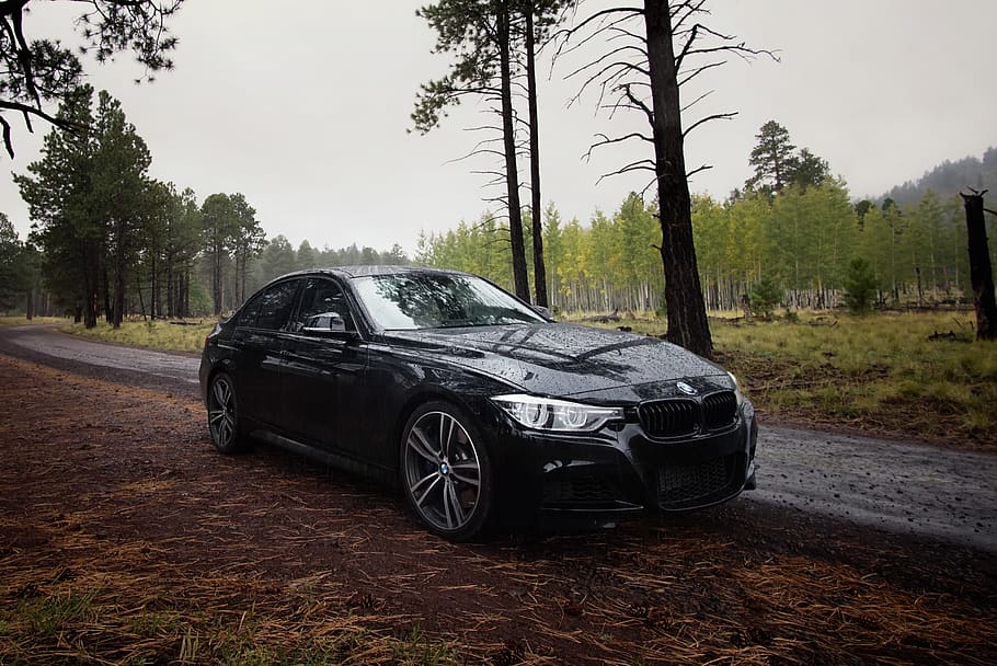 black sedan, tree, motor vehicle, car, mode of transportation HD wallpaper