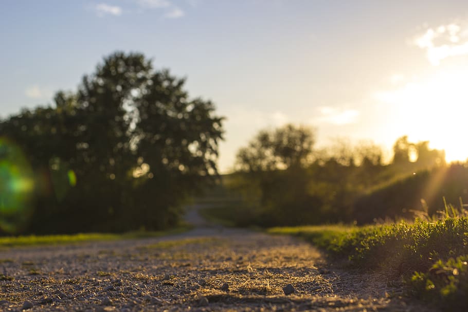 light, rays, spring, summer, grass, landscape, gravel, dirt HD wallpaper