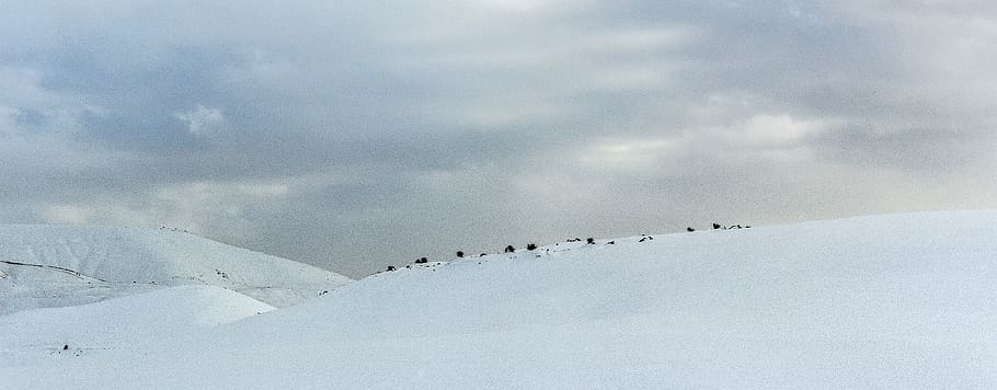 whit, cold, snow, winter, horizon, cloud - sky, cold temperature HD wallpaper