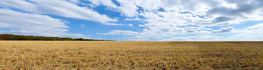 nature, landscape, field, sky, clouds, wide, distant, perspective HD wallpaper
