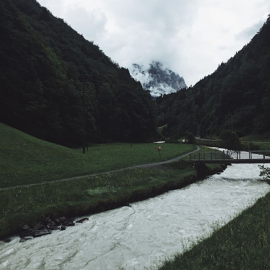 switzerland, lauterbrunnen, wengen, landscape, trees, mountainlife, HD wallpaper