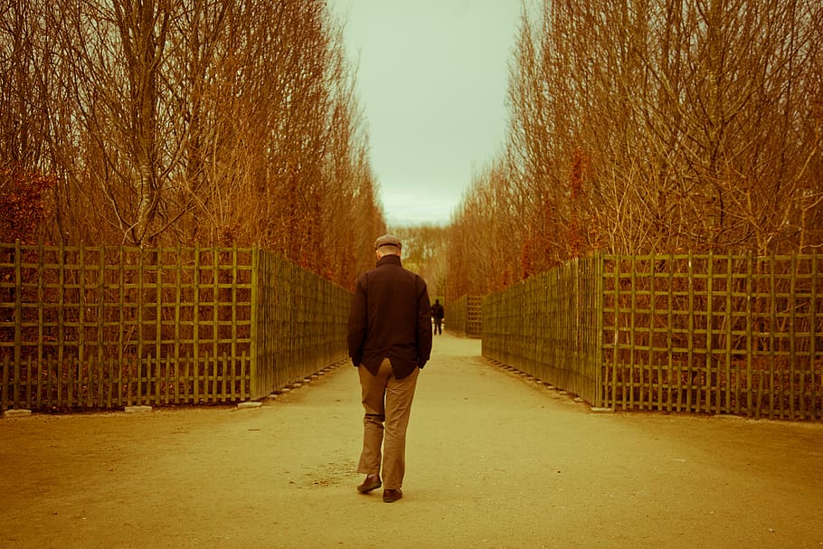 man walking along pathway, human, person, clothing, apparel, plant HD wallpaper