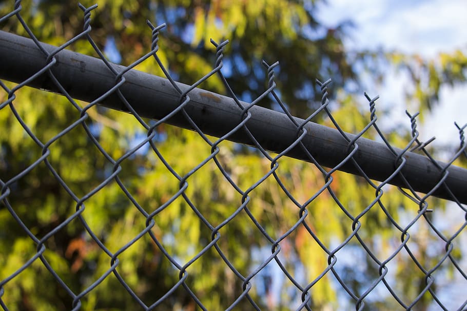 canada, salt spring island, sky, bar, barbed wire, fence, tree HD wallpaper